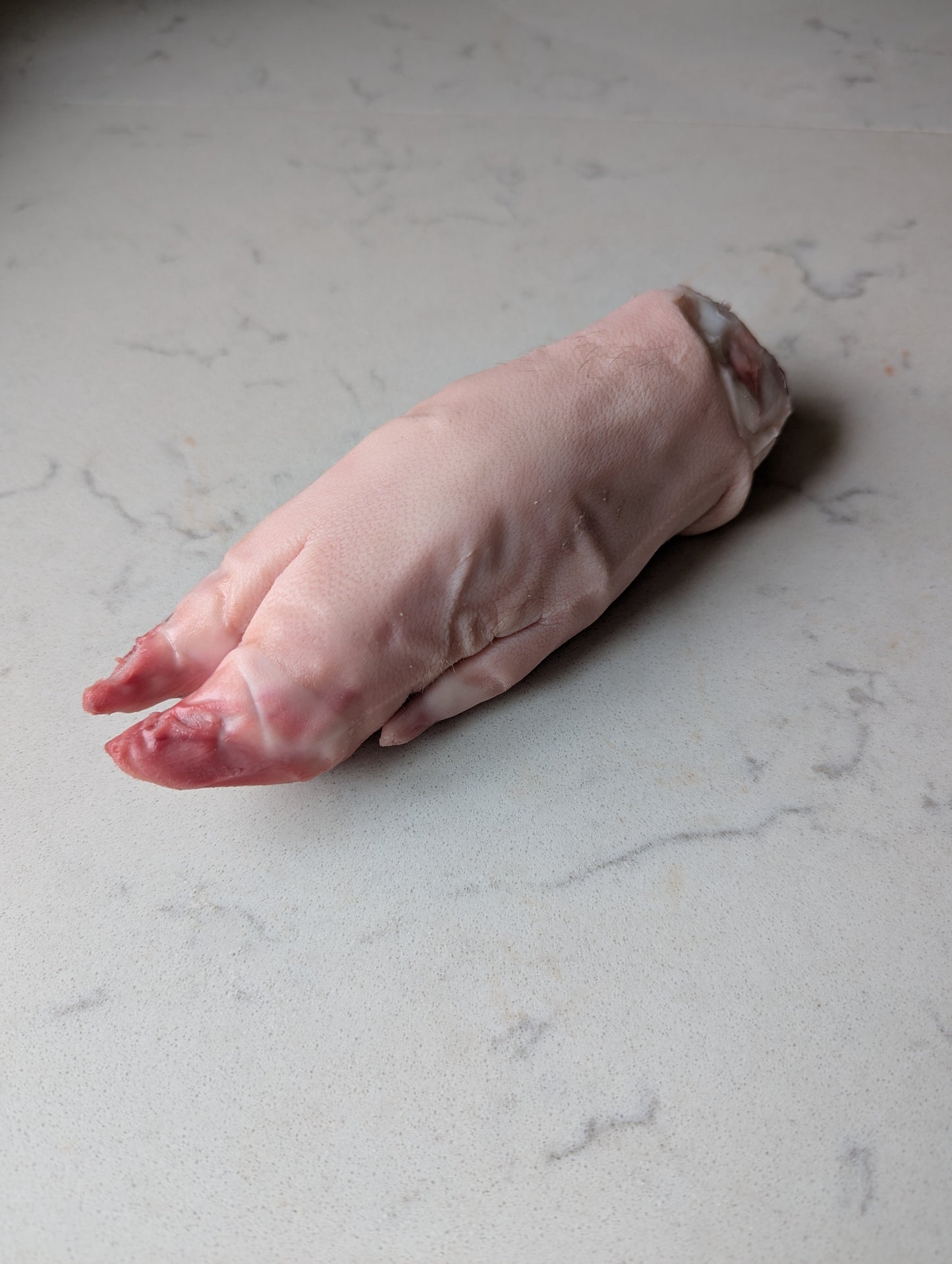 Organic Woodland Pig's Trotters